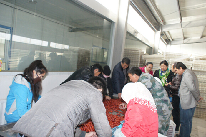 生物工程系领导看望校企合作顶岗实习学生