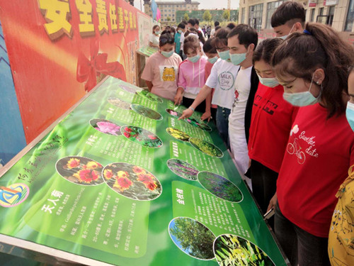 认知植物 走进自然 ——生物工程系举办“校园观赏植物科普”展览